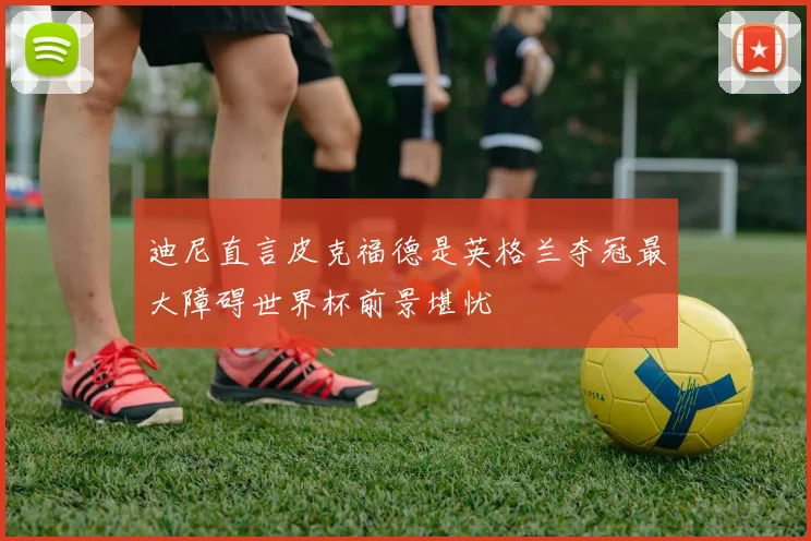 迪尼直言皮克福德是英格兰夺冠最大障碍世界杯前景堪忧