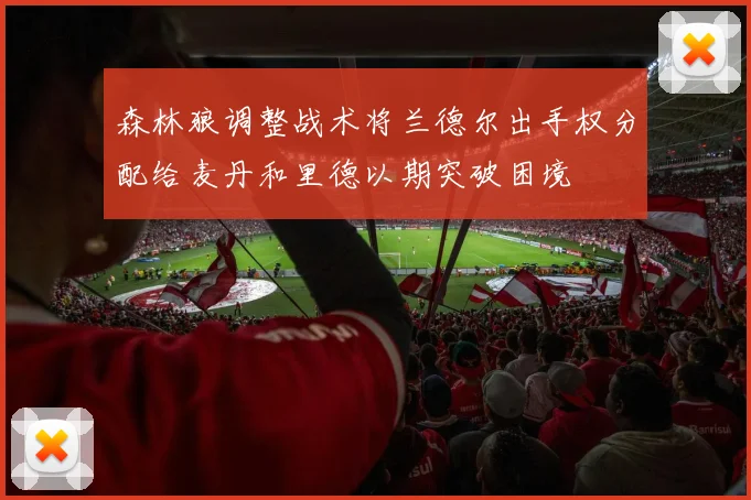 森林狼调整战术将兰德尔出手权分配给麦丹和里德以期突破困境